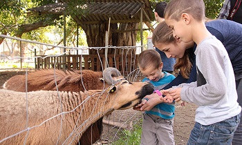 גן חי דגניה