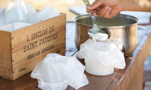 ייצור גבינה.jpg