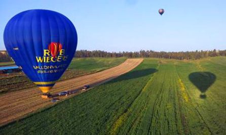 כדור פורח.jpg 2.jpg