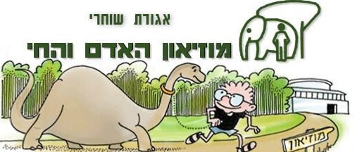מוזיאון.png