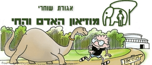 מוזיאון.png
