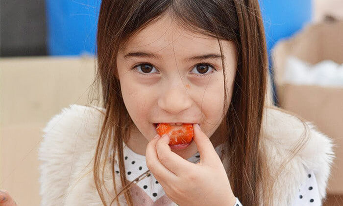 קטיף תותים משק 77.jpg