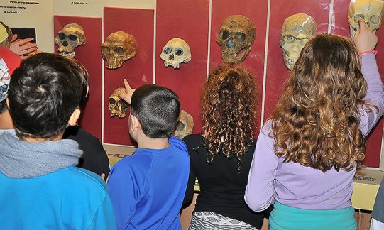 האדם הקדמון.jpg