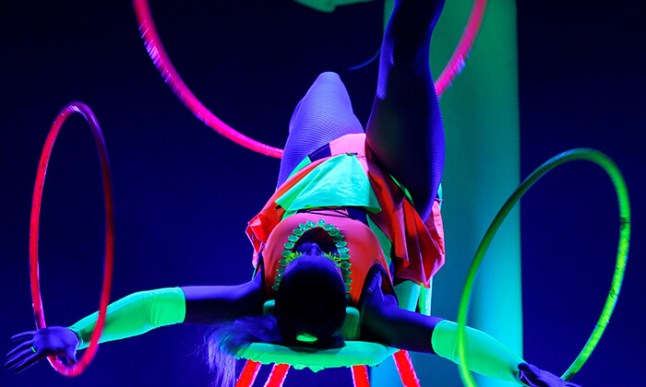 ניאון שאו.jpg