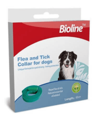 קולר כלבים.png