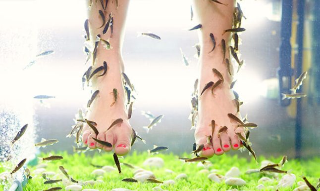 אקווה תרפי.jpg