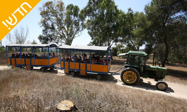 דרום אדום.jpg