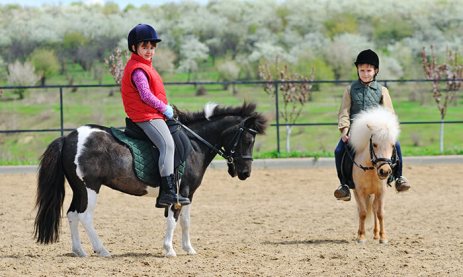 חוות יהודה.jpg