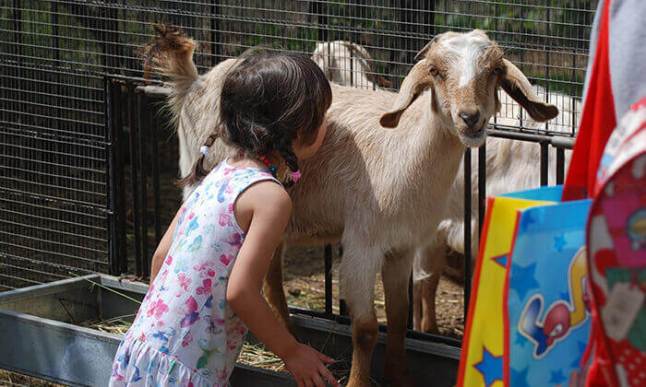 משק הלברכט.jpg