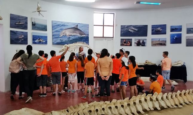 מרכז הדולפין.jpg