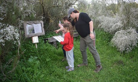 נאות קדומים