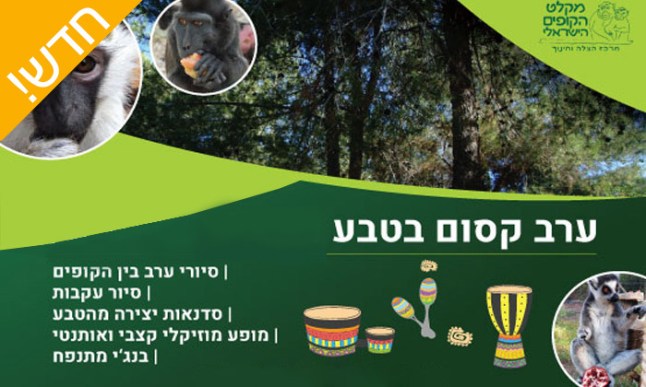 פארק הקופים